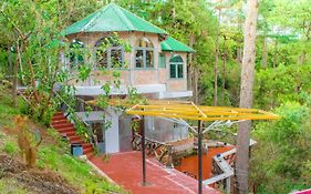 Dalat Maple Hostel & Inn